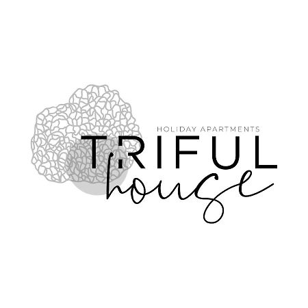 trifulhouse holiday apartments: entire building Alba  Extérieur photo