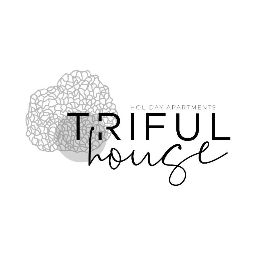 trifulhouse holiday apartments: entire building Alba  Extérieur photo