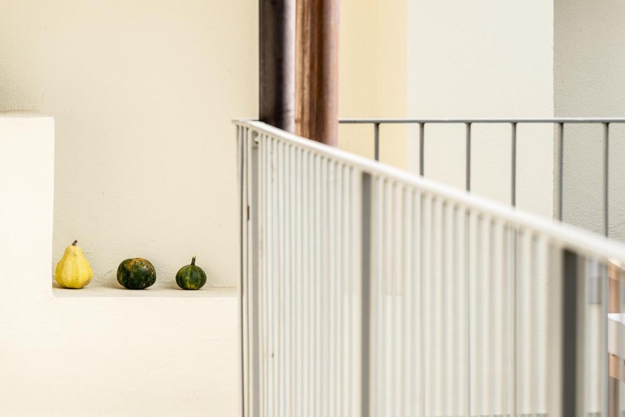 trifulhouse holiday apartments: entire building Alba  Extérieur photo